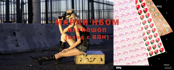 прущие грибы Алзамай