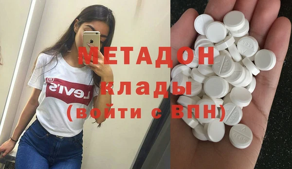 прущие грибы Алзамай