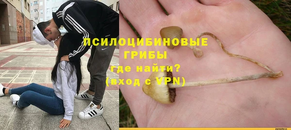 прущие грибы Алзамай
