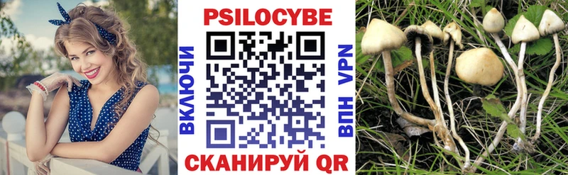 Псилоцибиновые грибы MAGIC MUSHROOMS где купить ОМГ ОМГ рабочий сайт Андреаполь